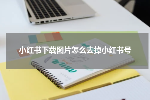 小红书下载图片怎么去掉小红书号