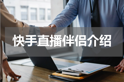 快手直播伴侣介绍