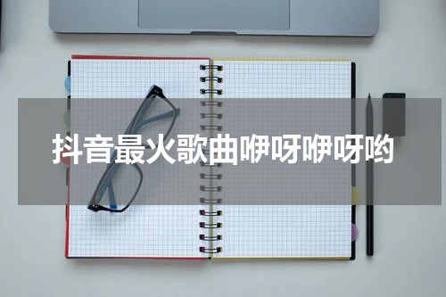 抖音最火歌曲咿呀咿呀哟