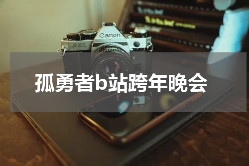 孤勇者b站跨年晚会