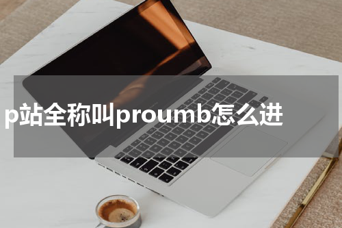 p站全称叫proumb怎么进