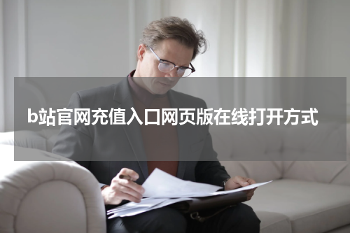 b站官网充值入口网页版在线打开方式