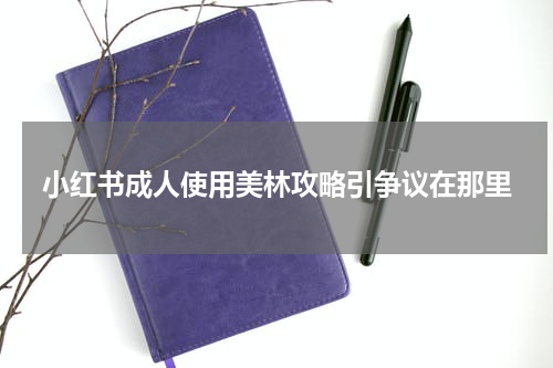 小红书成人使用美林攻略引争议在那里