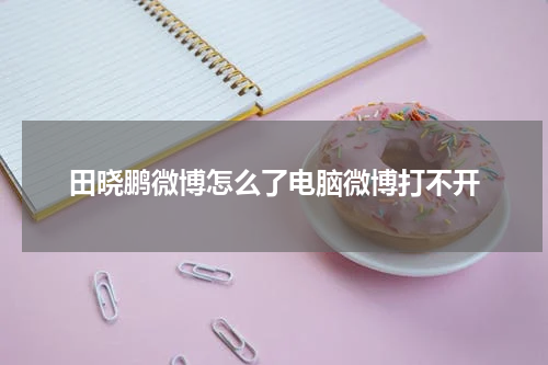 田晓鹏微博怎么了电脑微博打不开