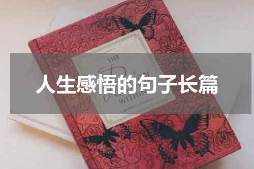 人生感悟的句子长篇