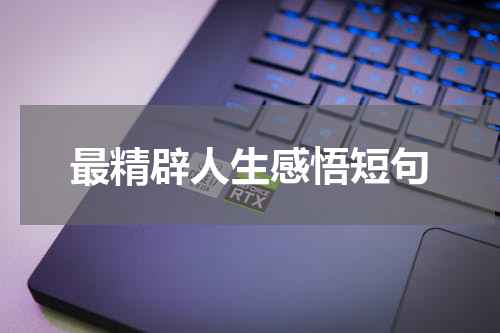 最精辟人生感悟短句