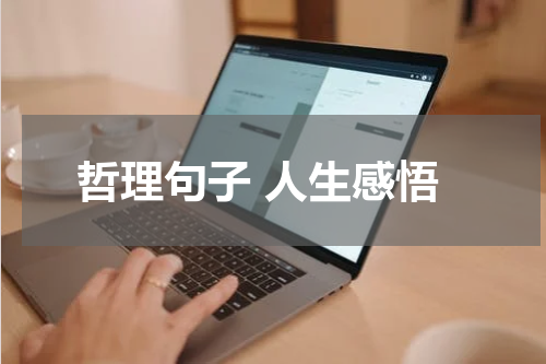 哲理句子 人生感悟