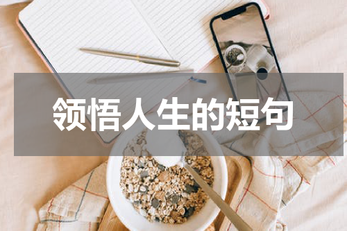 领悟人生的短句