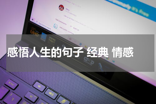 感悟人生的句子 经典 情感