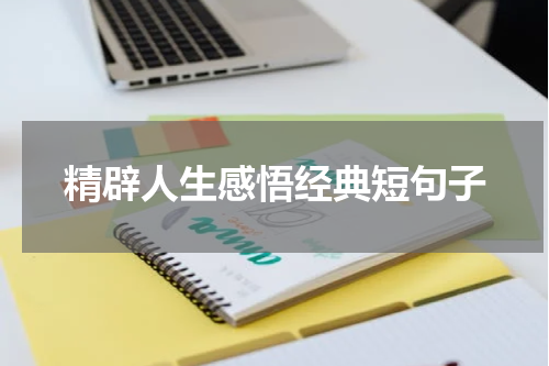 精辟人生感悟经典短句子