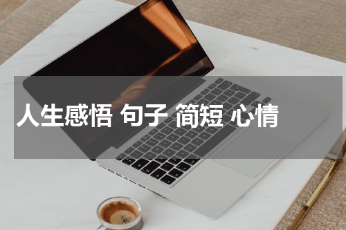 人生感悟 句子 简短 心情
