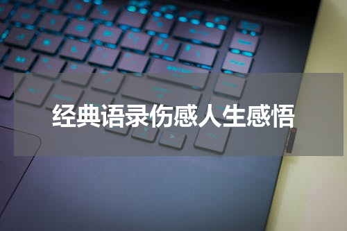 经典语录伤感人生感悟