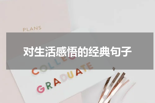 对生活感悟的经典句子