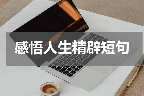 感悟人生精辟短句