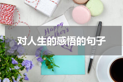 对人生的感悟的句子