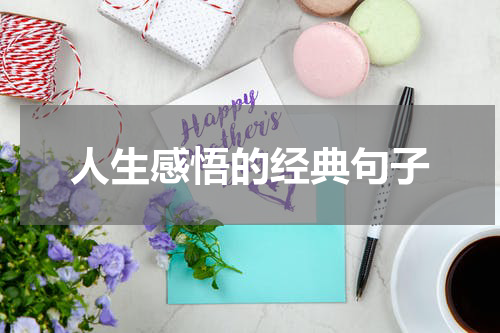 人生感悟的经典句子