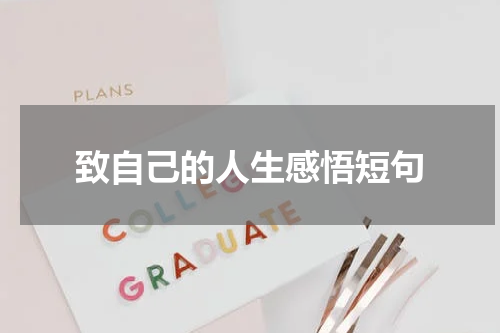 致自己的人生感悟短句