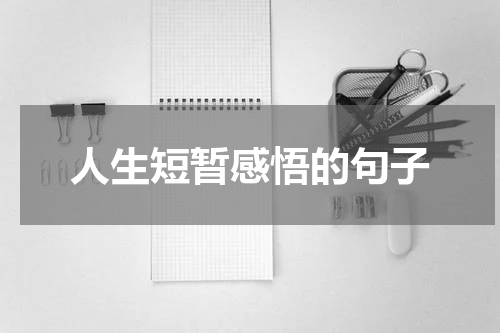 人生短暂感悟的句子