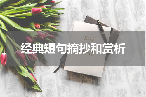经典短句摘抄和赏析