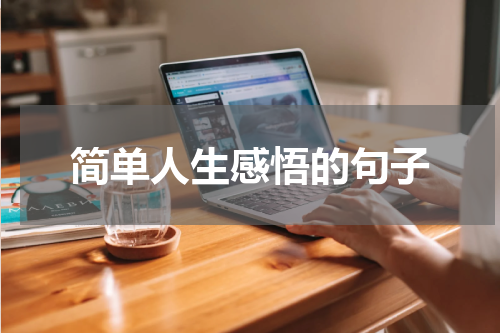 简单人生感悟的句子