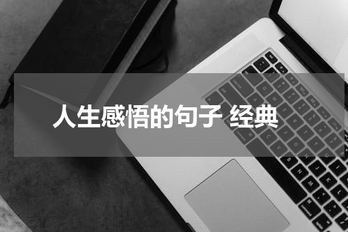 人生感悟的句子 经典