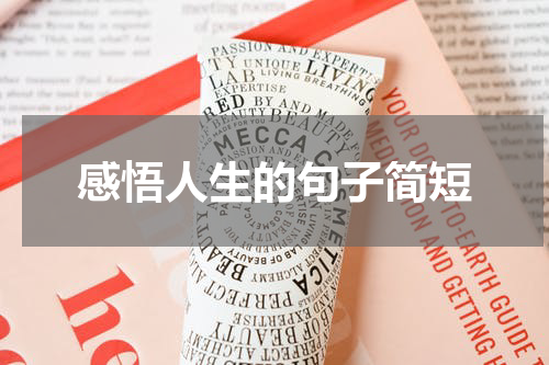 感悟人生的句子简短