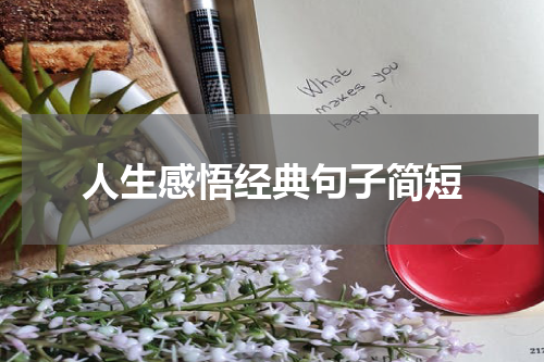 人生感悟经典句子简短