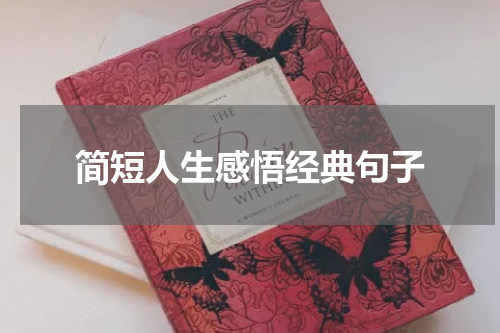 简短人生感悟经典句子