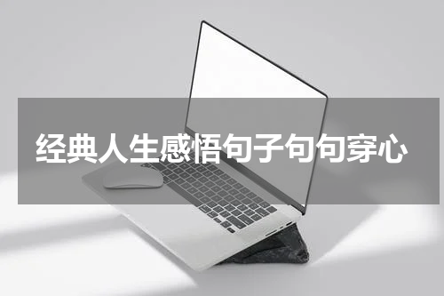 经典人生感悟句子句句穿心