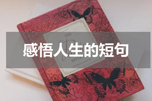 感悟人生的短句