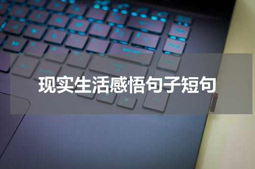 现实生活感悟句子短句