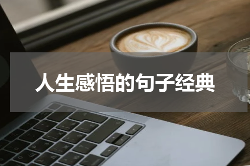 人生感悟的句子经典