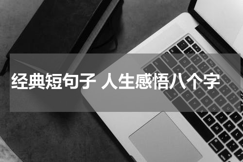 经典短句子 人生感悟八个字