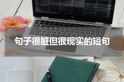 句子很脏但很现实的短句