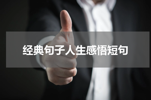经典句子人生感悟短句