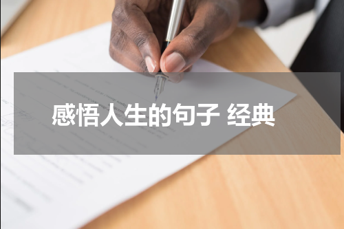 感悟人生的句子 经典