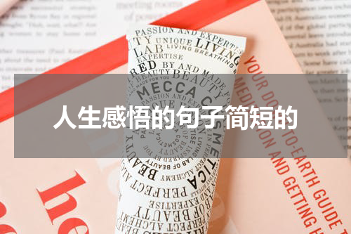 人生感悟的句子简短的