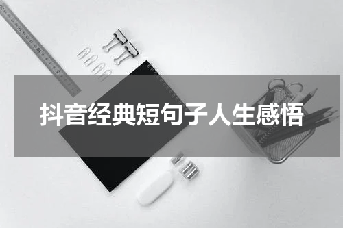 抖音经典短句子人生感悟