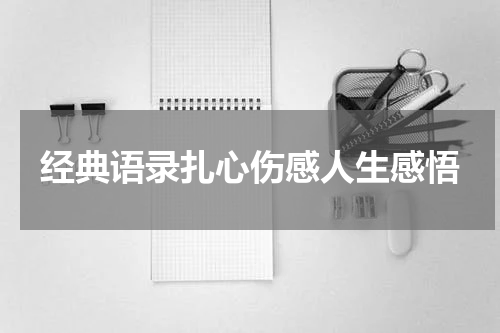 经典语录扎心伤感人生感悟