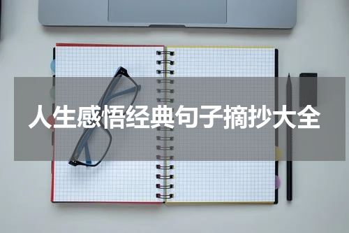 人生感悟经典句子摘抄大全