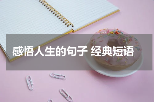 感悟人生的句子 经典短语
