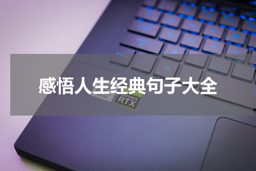 感悟人生经典句子大全