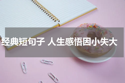 经典短句子 人生感悟因小失大