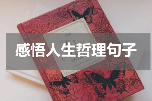 感悟人生哲理句子