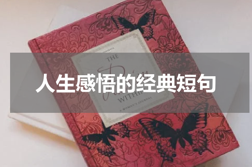 人生感悟的经典短句