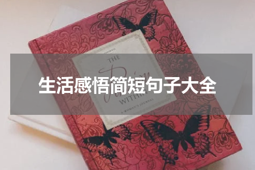 生活感悟简短句子大全