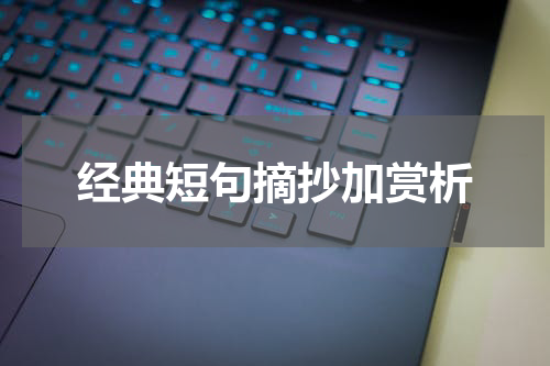 经典短句摘抄加赏析