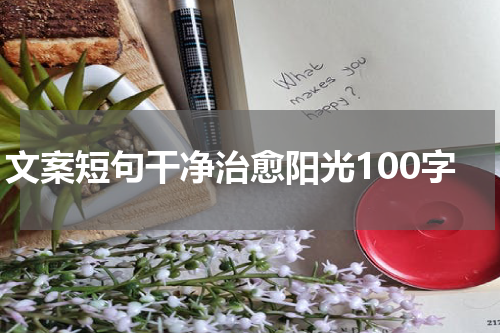文案短句干净治愈阳光100字