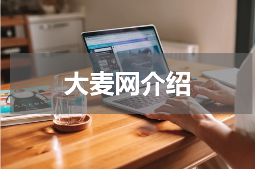 大麦网介绍