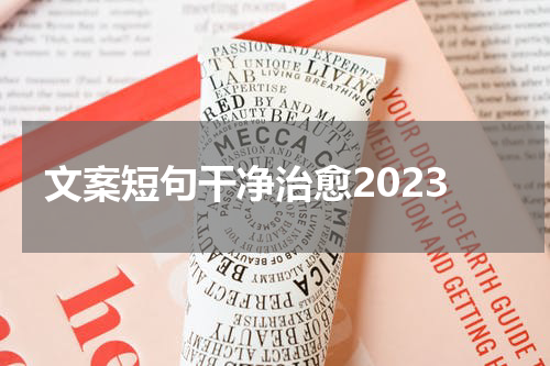 文案短句干净治愈2023